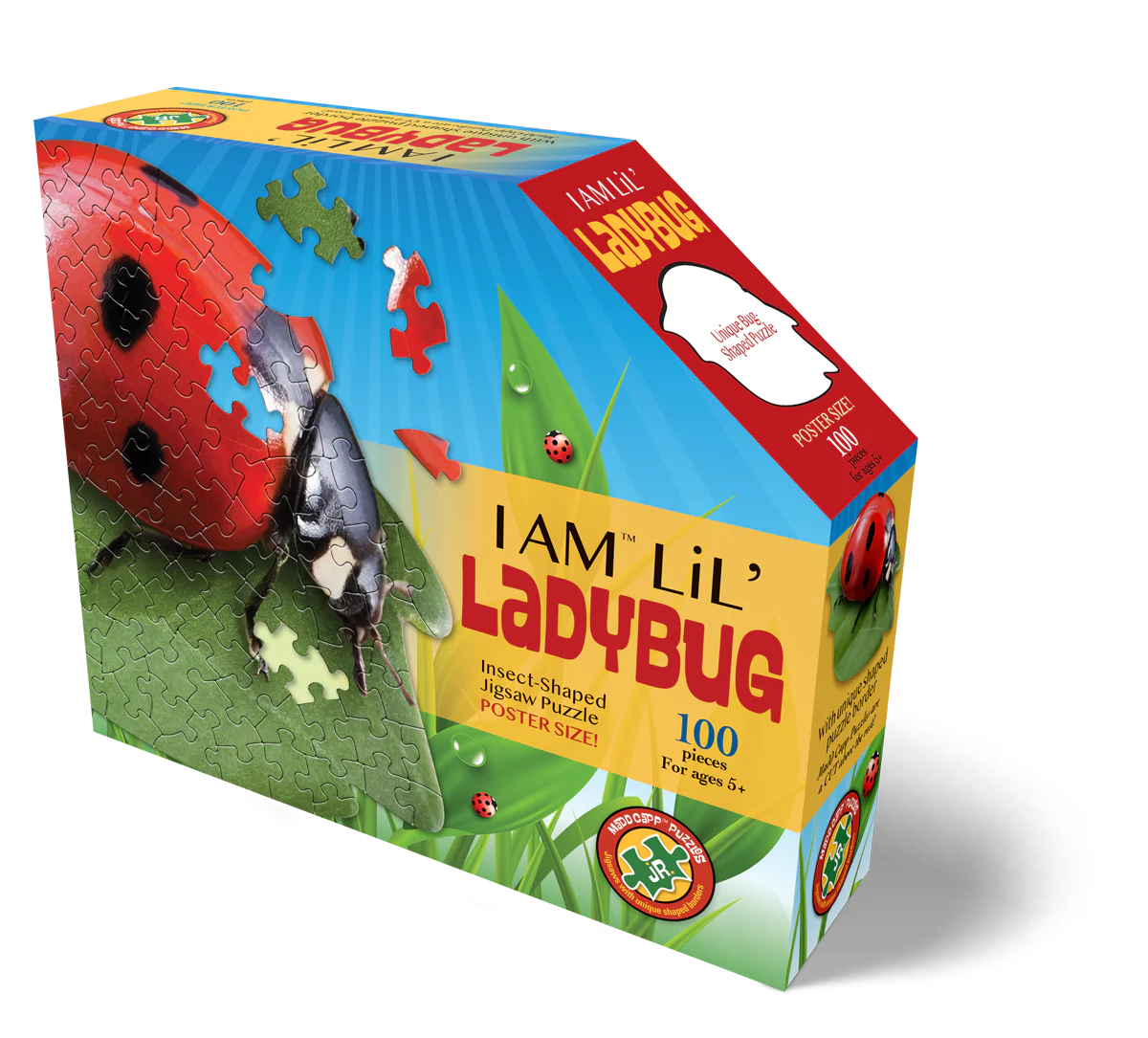 I Am Lil’ Ladybug (100pcs)