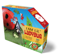 I Am Lil’ Ladybug (100pcs)