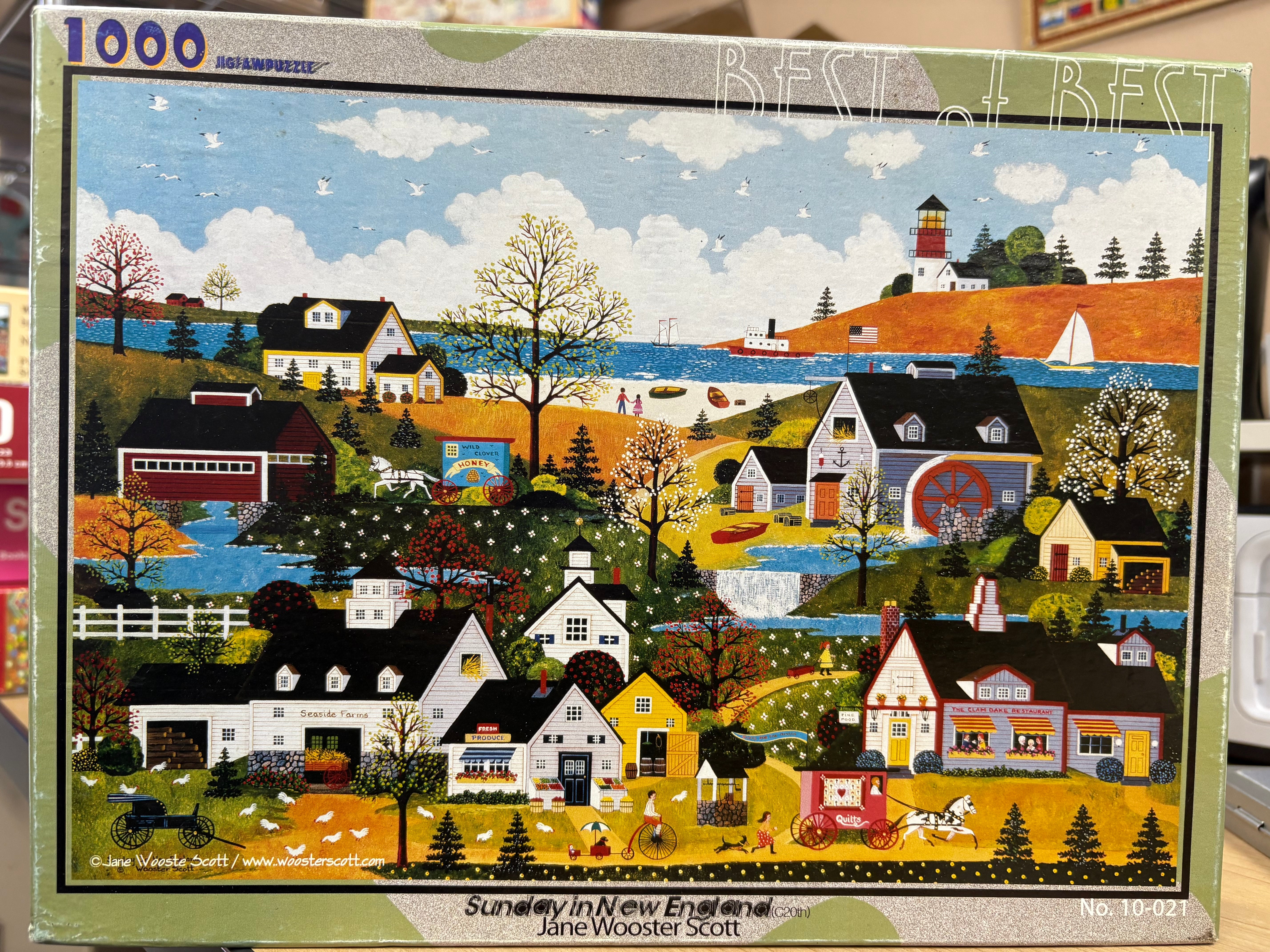 PFG Sunday in New England (1000pcs) (Usage/Used - PUZZLES FOR GOOD)