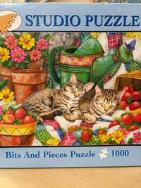 PFG COMPRESSEMENTS STRAWBERNES (USAGÉ / USET - Puzzles pour de bon)