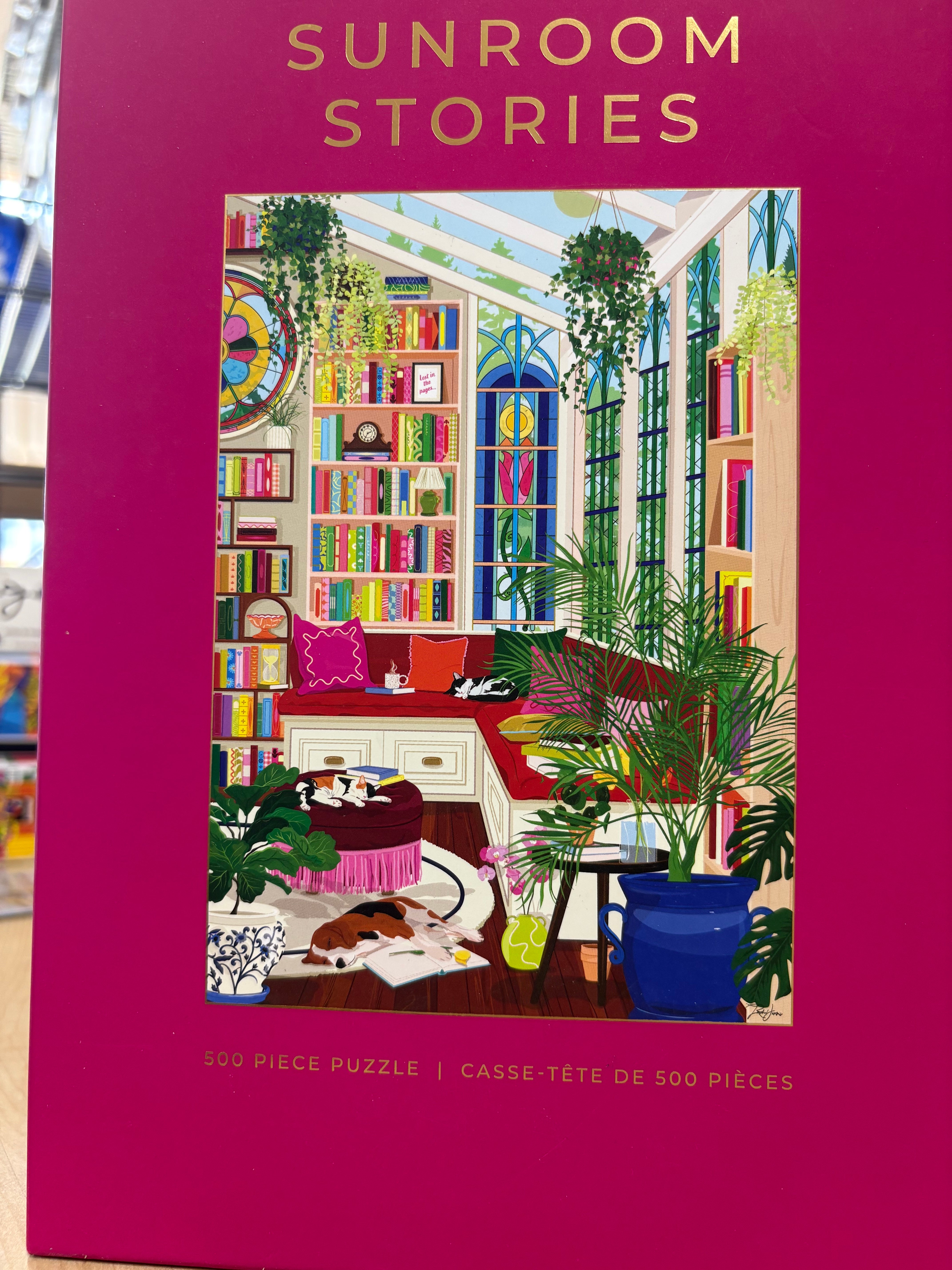 PFG Sunroom Stories (Usagé/Used - PUZZLES FOR GOOD)