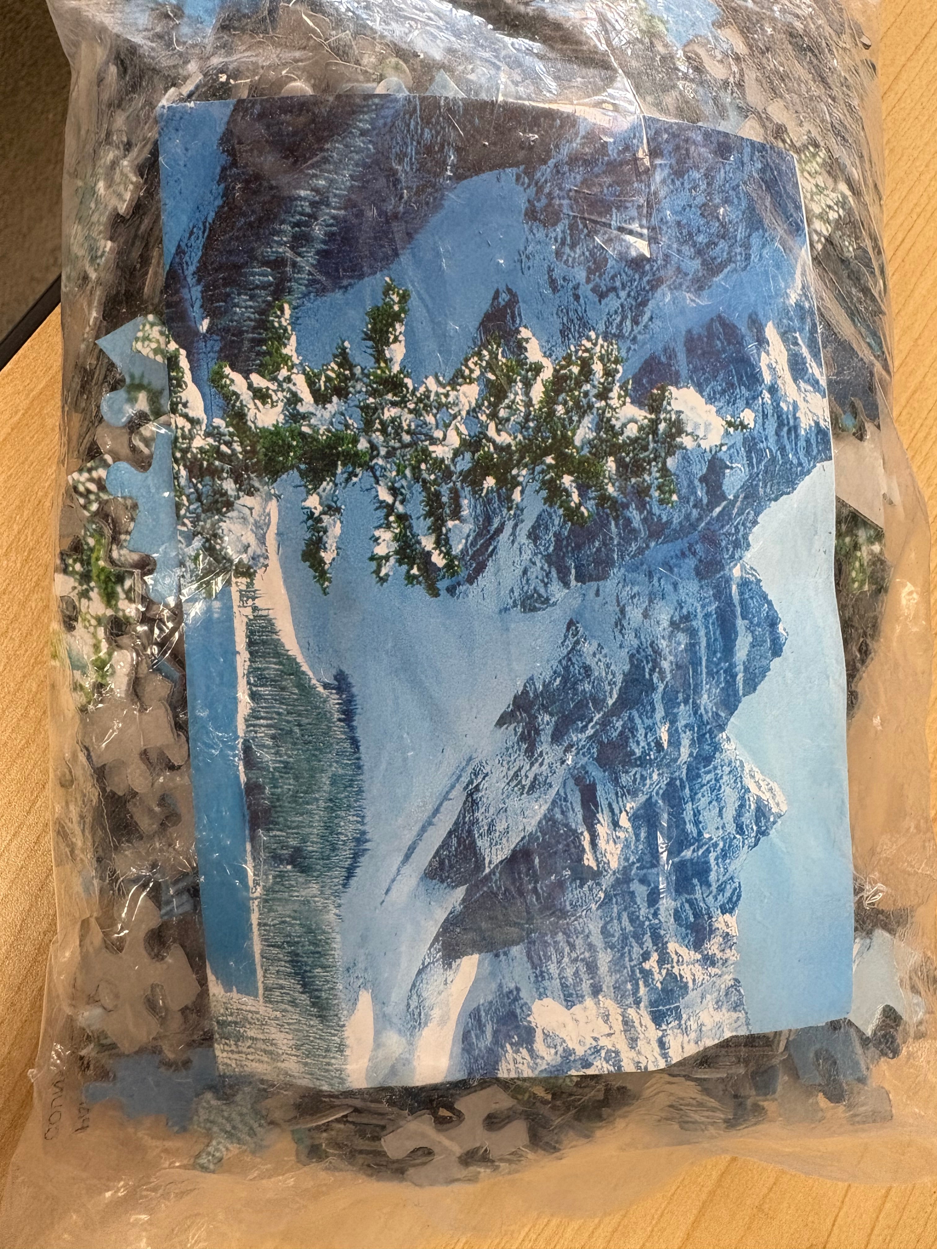 PFG BAG #1 Paysage d'hiver (Usage/Occasion - PUZZLES FOR GOOD)