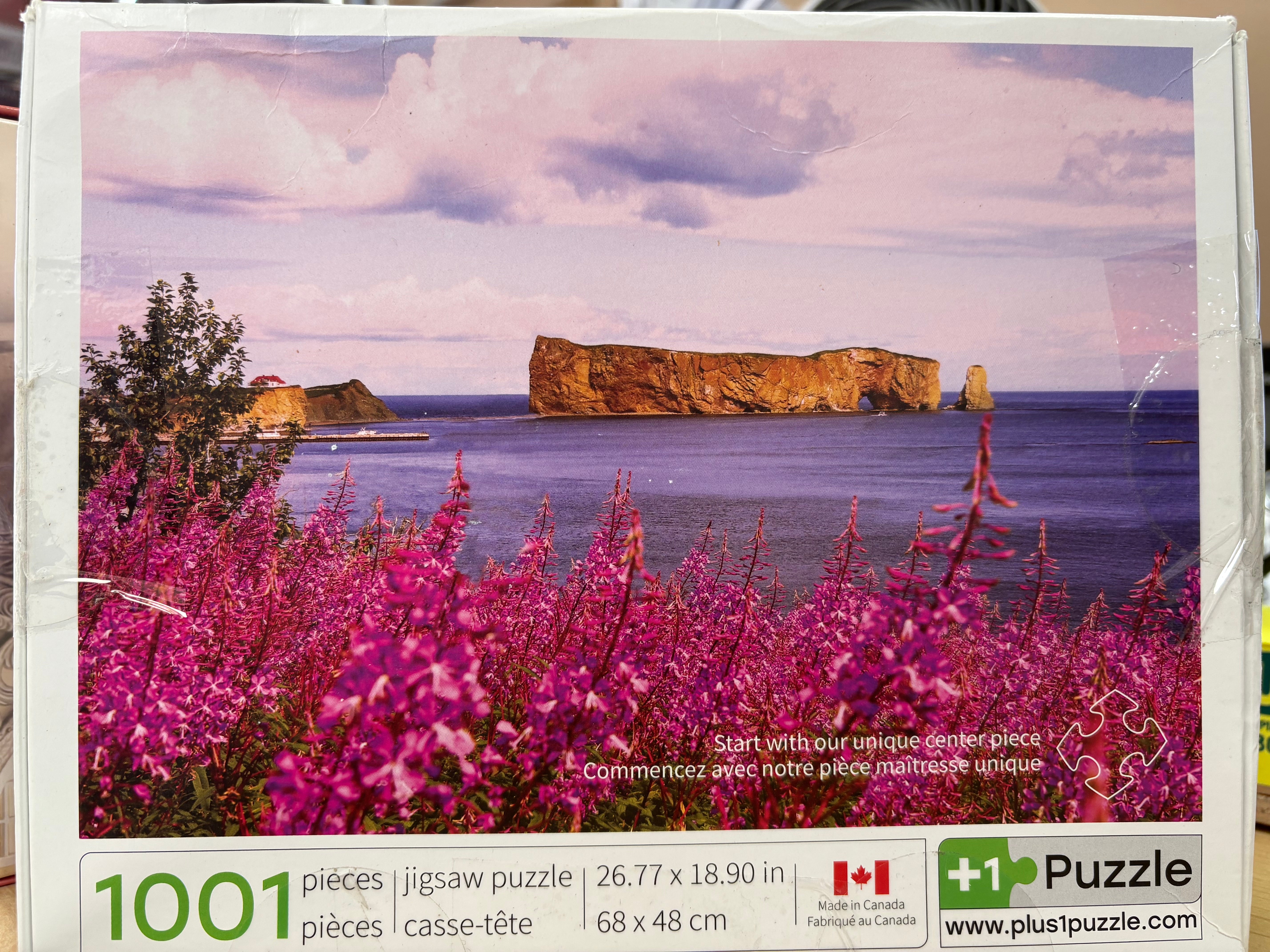 PFG Perce en août (Usage/Occasion - PUZZLES FOR GOOD)