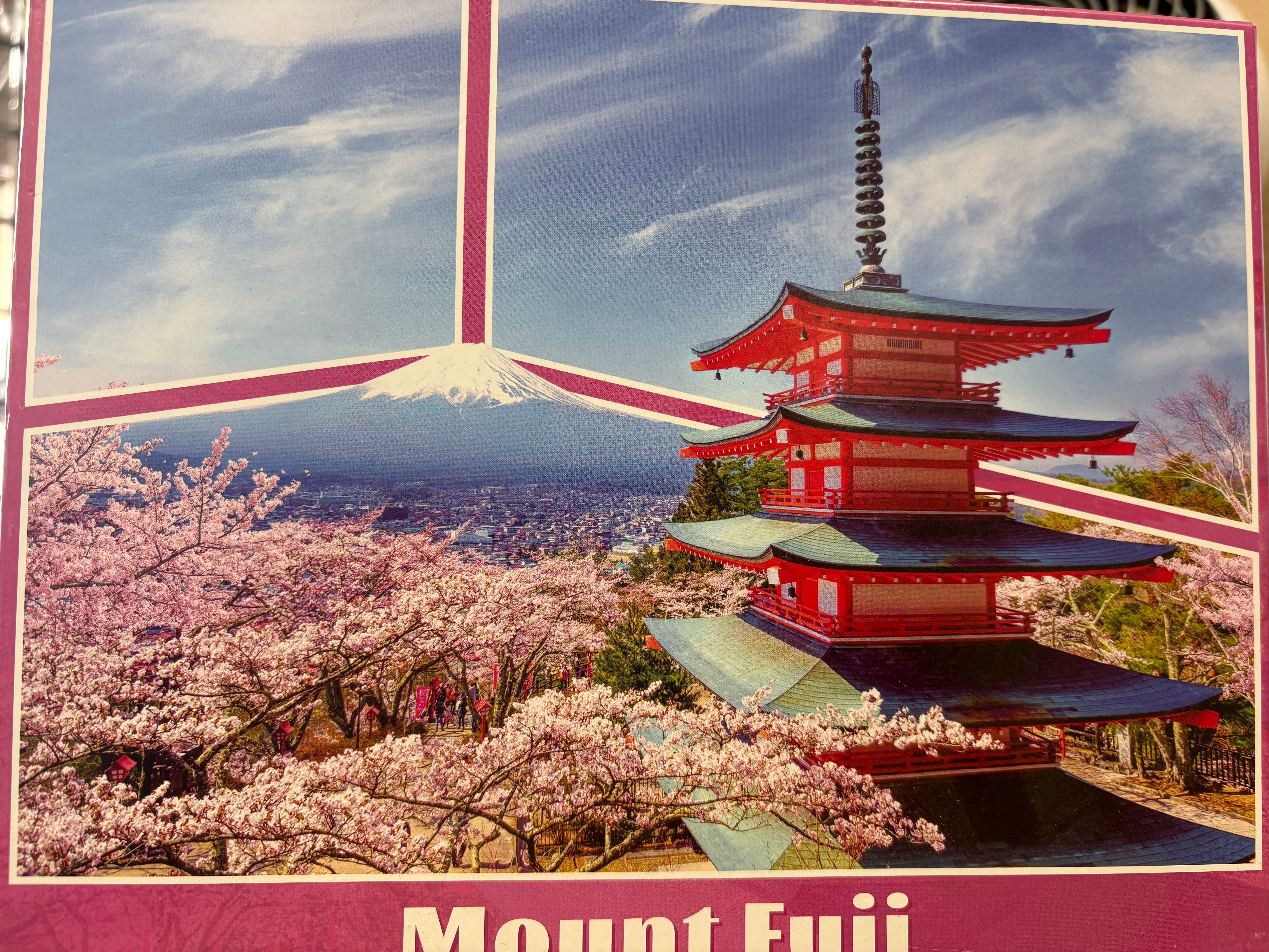 PFG Mont Fuji (1000 pièces) (Utilisé - PUZZLES FOR GOOD)