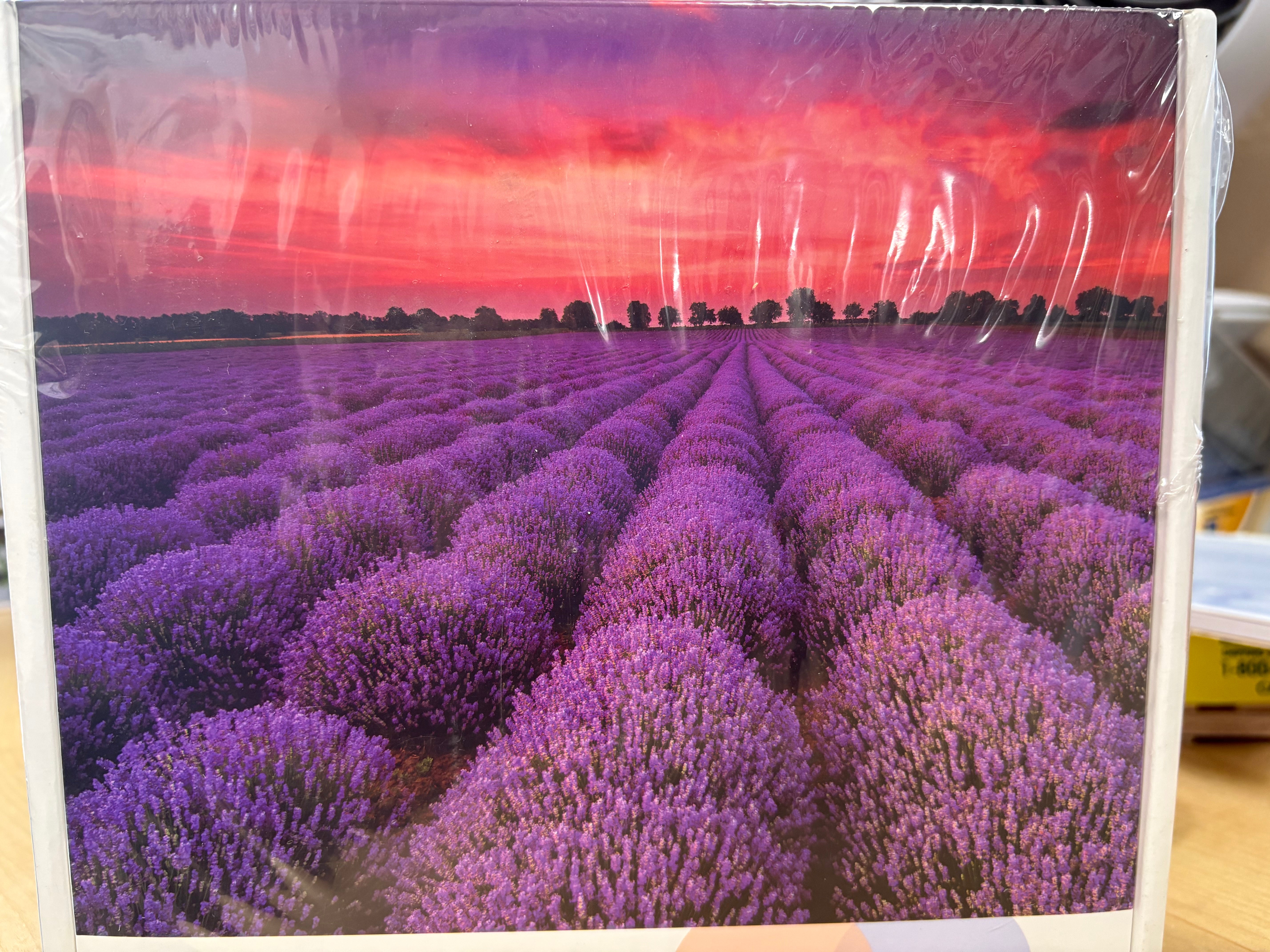 PFG Lavendar Field (Usage/Used - PUZZLES FOR GOOD)