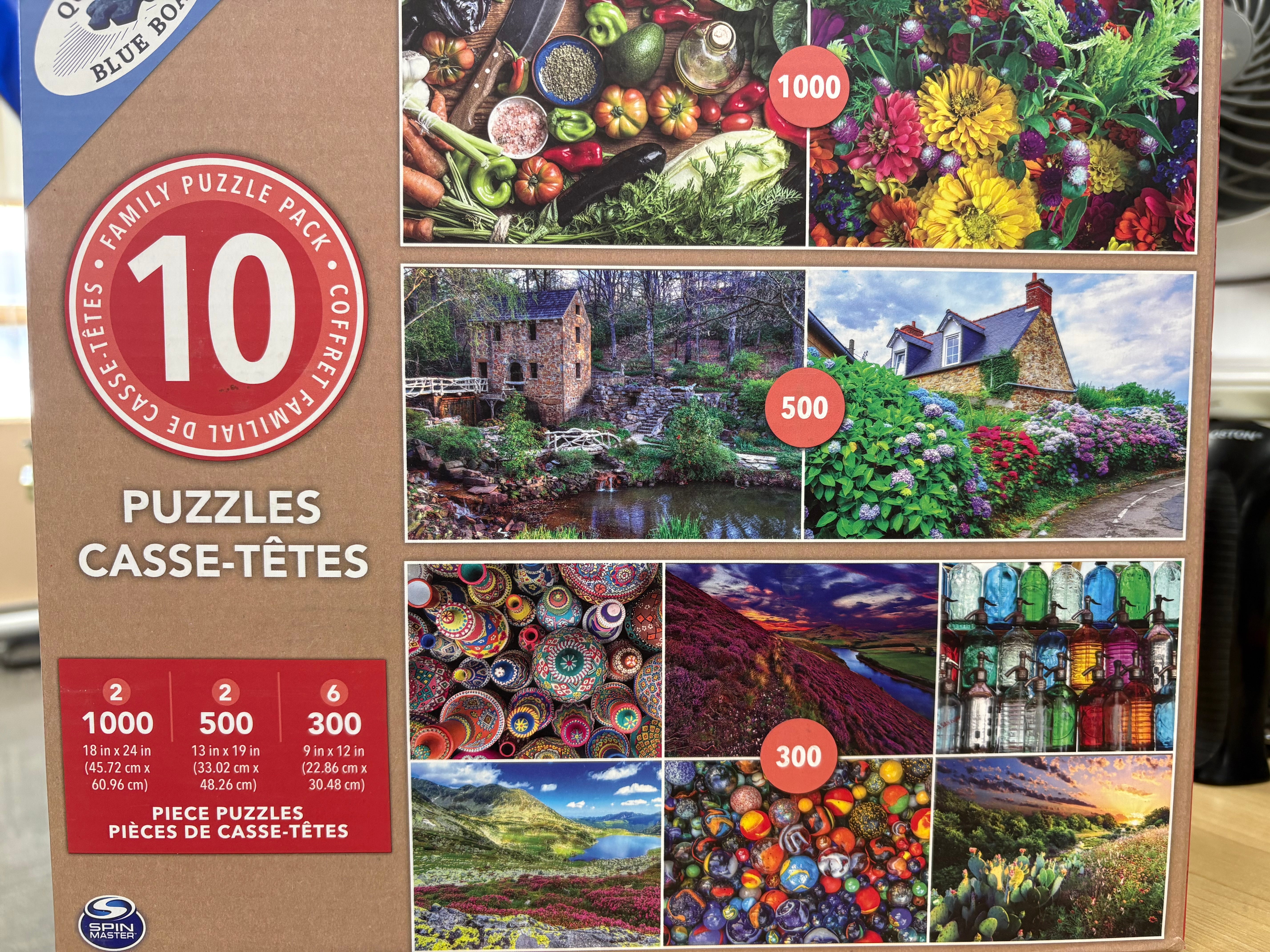 PFG Pack de puzzles familiaux 10 en 1 (Usage/Utilisé - PUZZLES FOR GOOD)