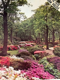 Jardin pittoresque PFG (750pcs) (utilisation / utilisée - puzzles pour de bon)