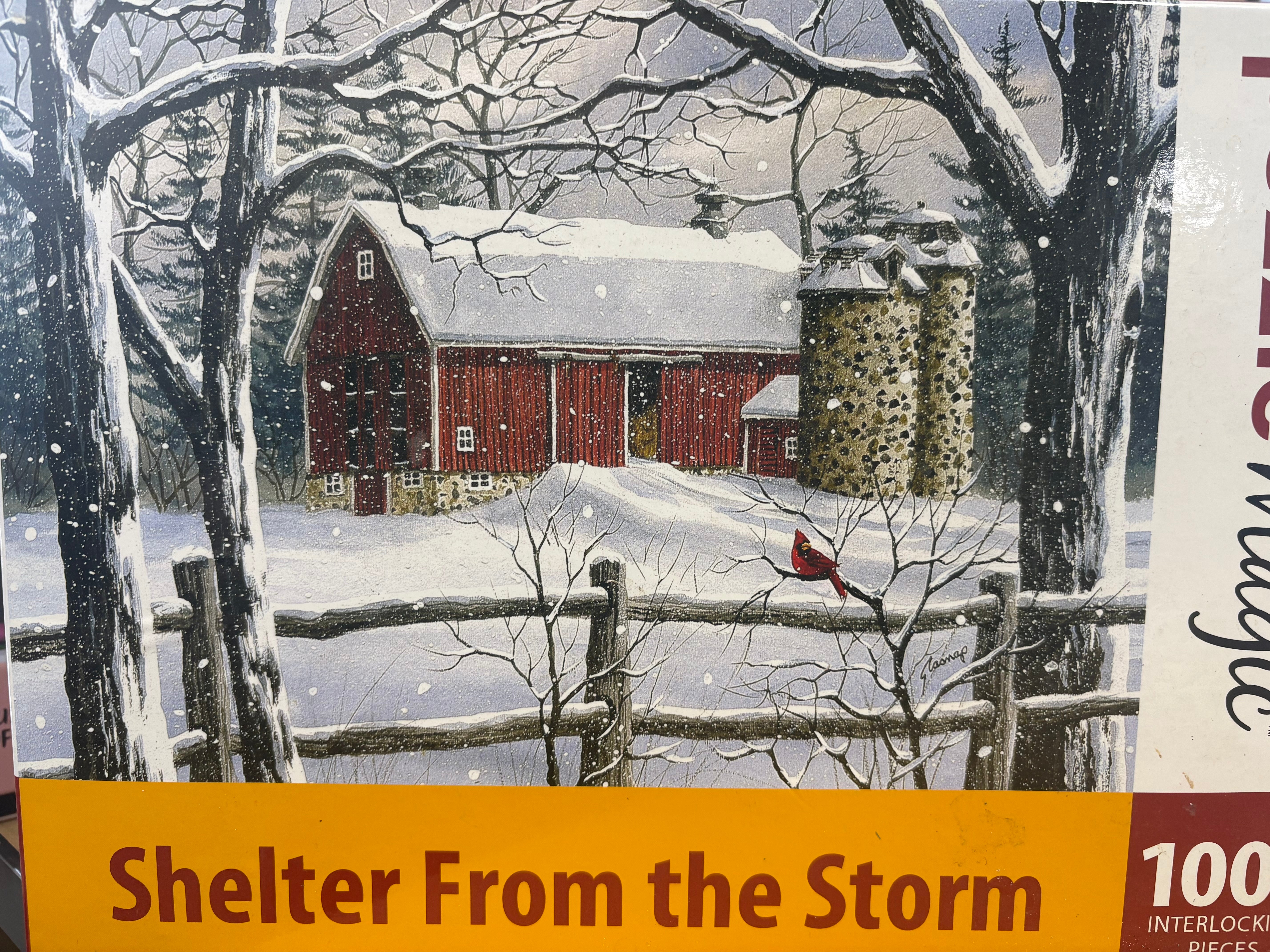 PFG Shelter From the Storm (Usage/Used - PUZZLES FOR GOOD)