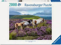 Ravensburger Wild Horses in the Heather (2000pcs)