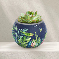 3D Puzzle Planter - Bird of Paradise