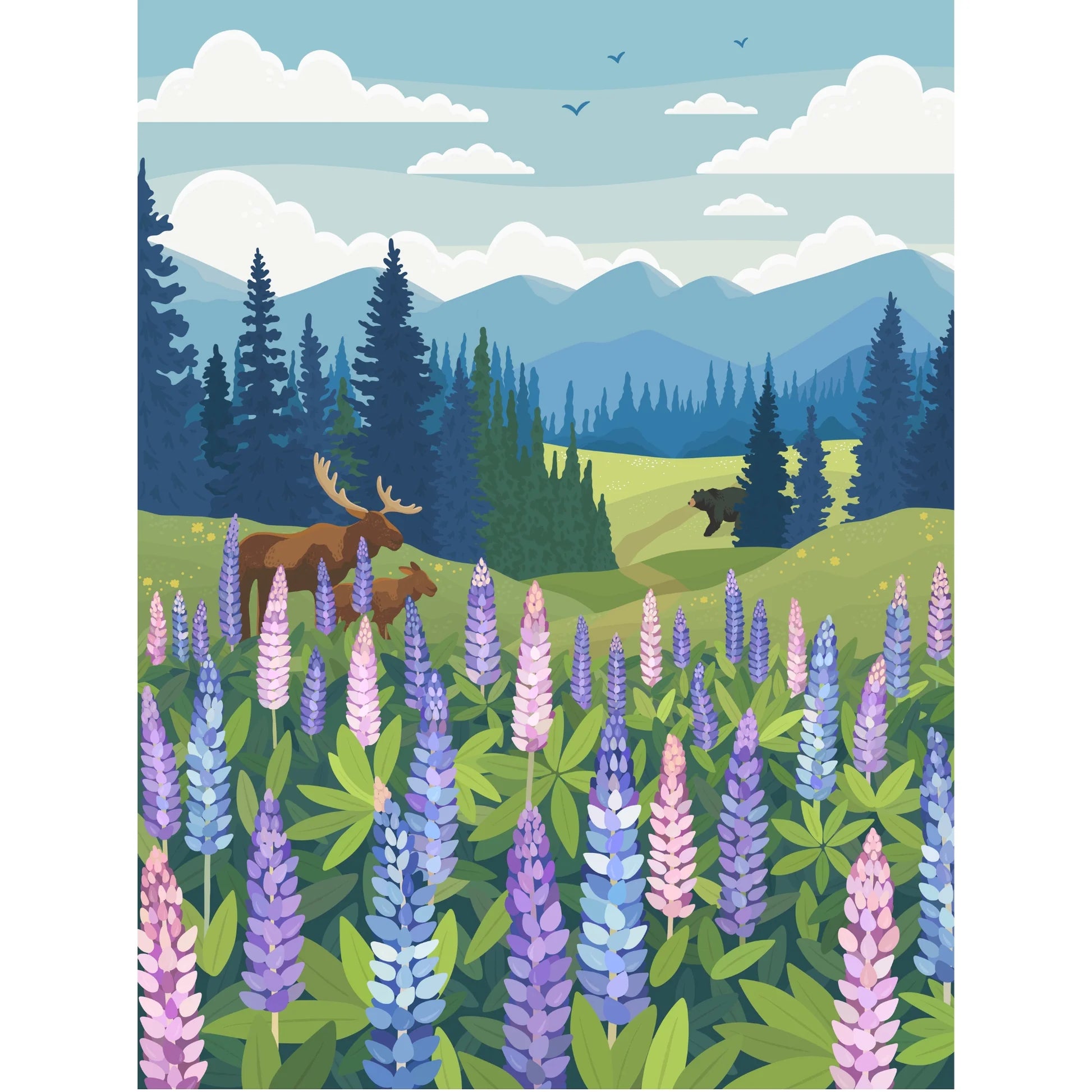 Lupines Meadow, Diana Pinnell (1000 pièces)