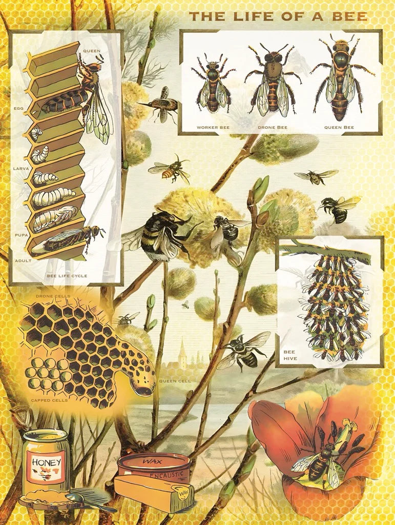 Vintage Collection - Bees & Honey (1000pcs)