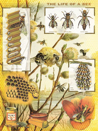 Collection vintage - abeilles et miel (1000pcs)