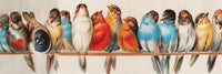 Collection vintage - Perch (1000pcs) (panoramique)
