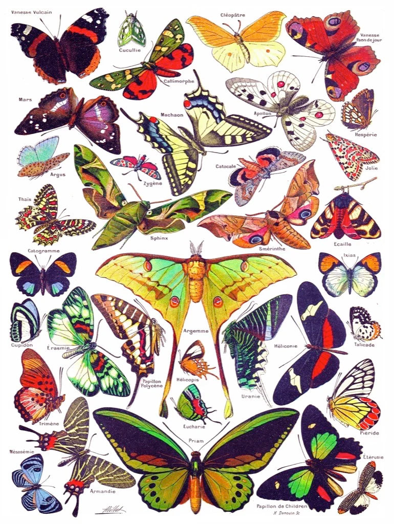Vintage Collection - Butterflies / Papillons (1000pcs)