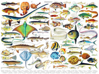Collection vintage - Fish / Poissons (1000pcs)