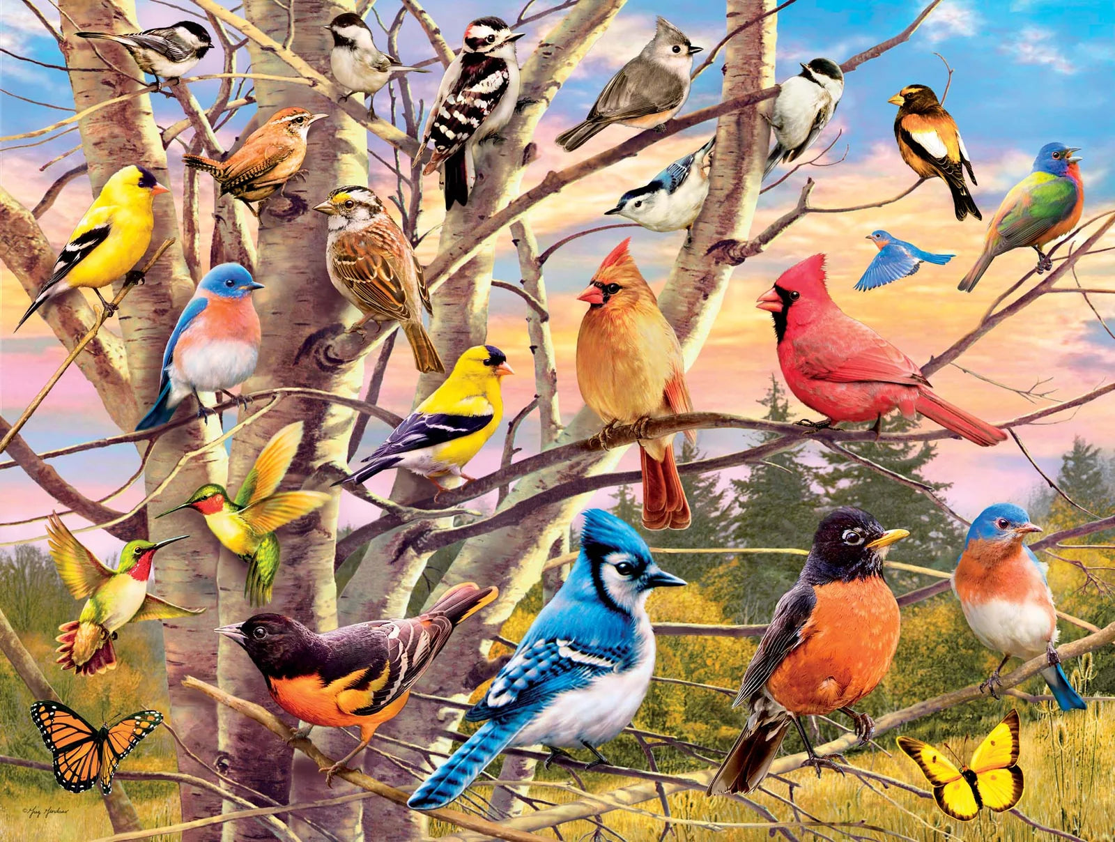 Birds and Tree (500pcs)
