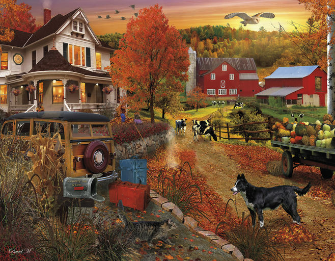 David Maclean 4-in-1 Multipack (4 x 500pcs)