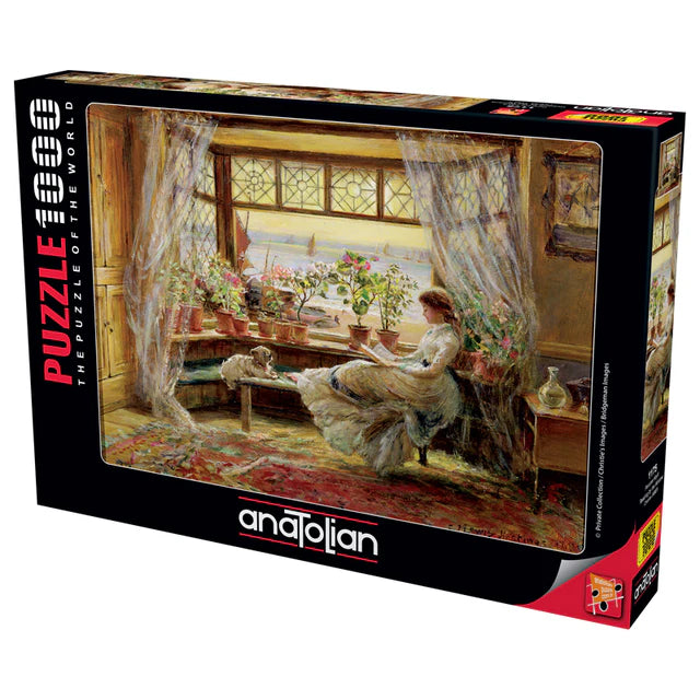 Reading by the Window (1000pcs)