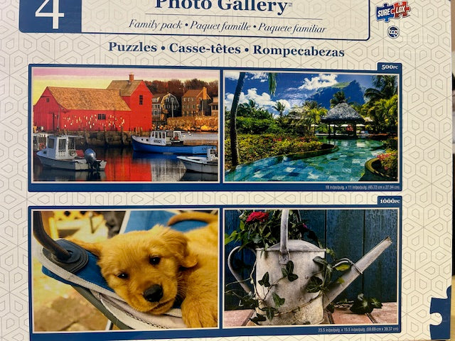 PFG 4-in-1 Photo Gallery (Usagé/Used - PUZZLES FOR GOOD)