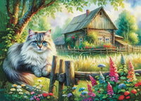 Smokey - Collection NovIA (1000pcs)