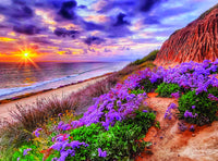 Gold - Torrey Pines Beach (1000pcs)