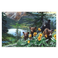 PFG Puzzler's Choice - Basking in the Balsamroot (Usagé/Used - PUZZLES FOR GOOD)