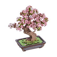 3D Sakura Bonsai (Wood)