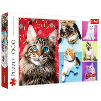 PFG Happy Cats (Utilisation / Utilisé - Puzzles pour de bon)