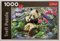 PFG PANDA, HOWARD ROBINSON (USAGE / USET - PUZZLES POUR DE GOIS)