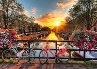 PFG Ravensburger Bicycles à Amsterdam (1000pcs) (utilisation / utilisée - puzzles pour de bon)