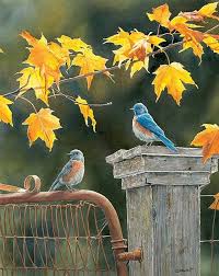 PFG Rusty Gate Bluebirds (550pcs) (utilisation / utilisée - puzzles pour de bon)