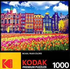 PFG Traditional Old Buildings and and Tulips in Amsterdam (Usage/Used - PUZZLES FOR GOOD)