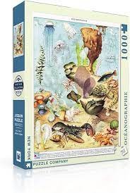 PFG Oceanographie (USAGÉ / USET - Puzzles pour de bon)