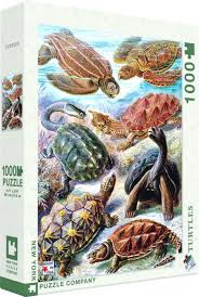 Tortues (1000pcs)