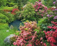 Temps tranquille PFG (1500pcs) (utilisation / utilisée - puzzles pour de bon)