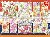 Tulipes de Hollande (1000pcs)
