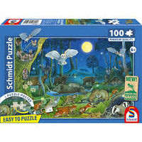 Animals in a Night-Time Forest (100pcs)