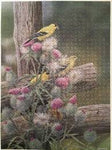 PFG Goldfinches et Bullthistle (550pcs) (utilisation / utilisée - puzzles pour de bon)