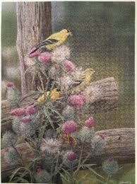 PFG Goldfinches et Bullthistle (550pcs) (utilisation / utilisée - puzzles pour de bon)