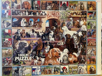 PFG le monde des chiens (utilisation / utilisée - puzzles pour de bon)