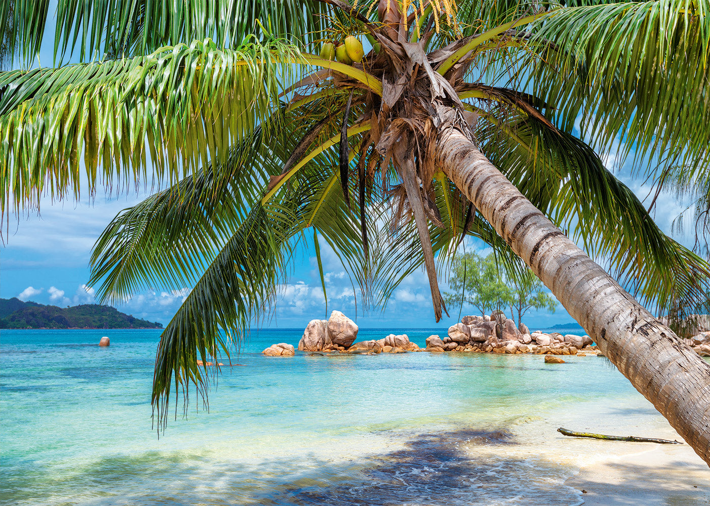 Plage Tropicale (1000pcs)