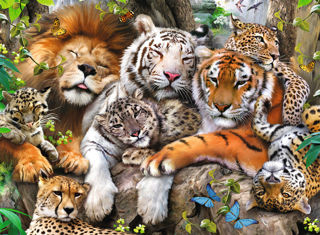 DMG Ravensburger Big Cat Nap, Howard Robinson (DAMAGED BOX)