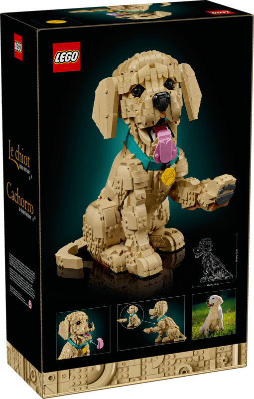 LEGO® - Golden Retriever Puppy