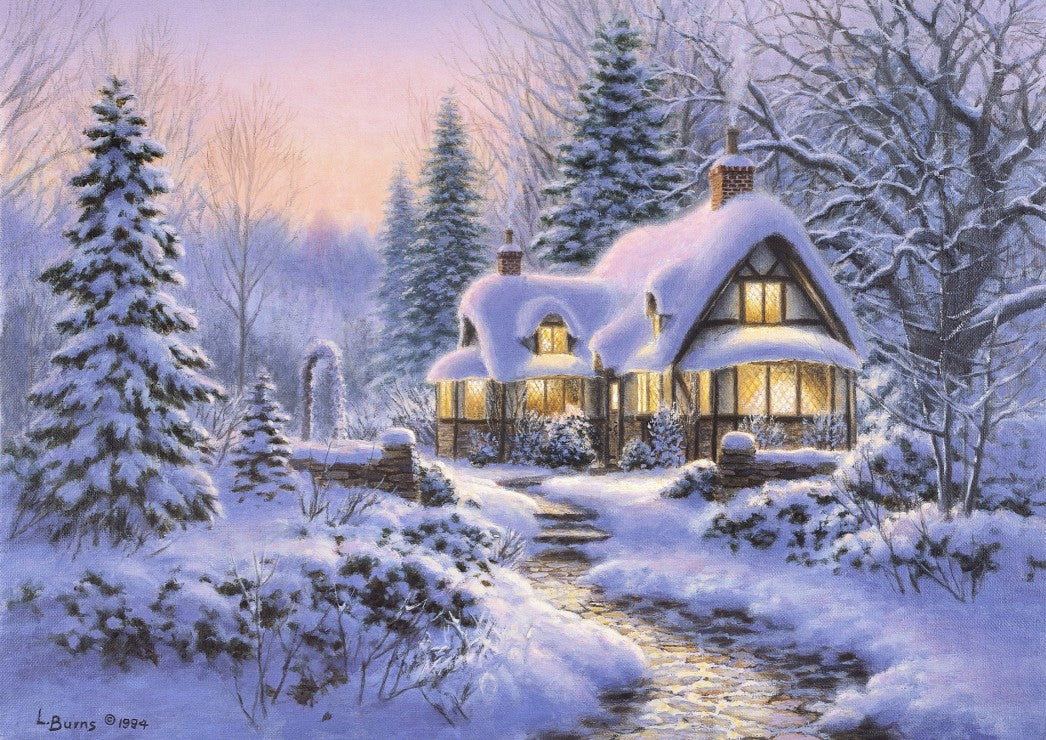 Couverture de l'hiver (500pcs)
