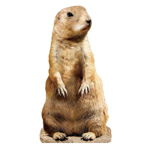 Prairie Dog - Shaped (100pcs)