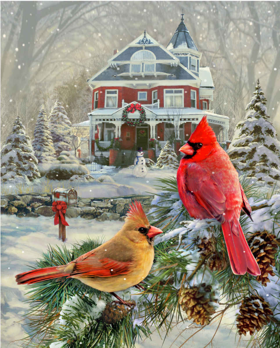 PFG Cardinal Holiday Retreat, Greg Giordano (Usage/Used - PUZZLES FOR GOOD)