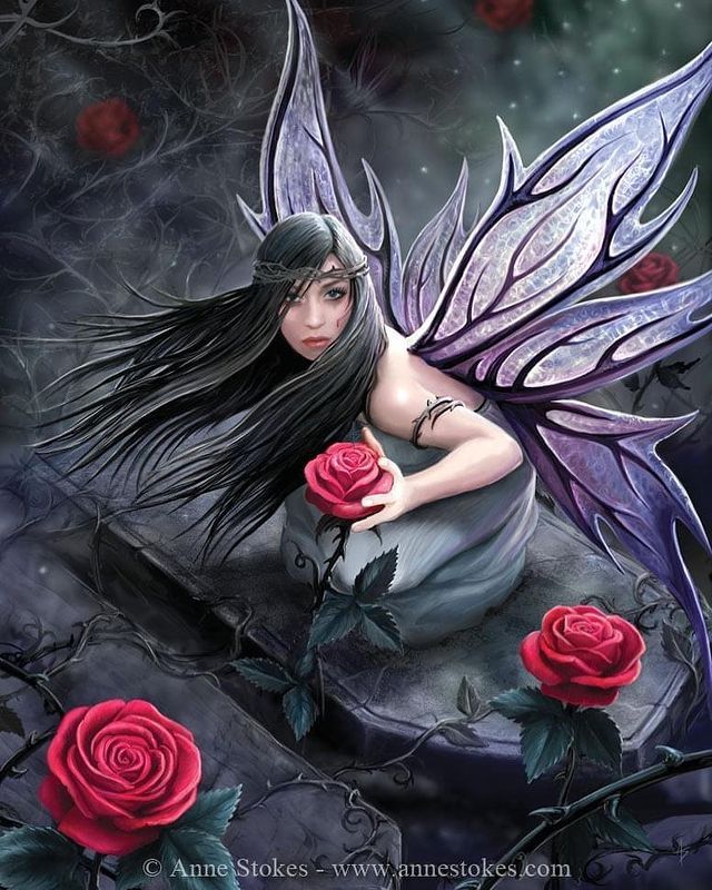 Anne Stokes - Rose Fairy (1000pcs)