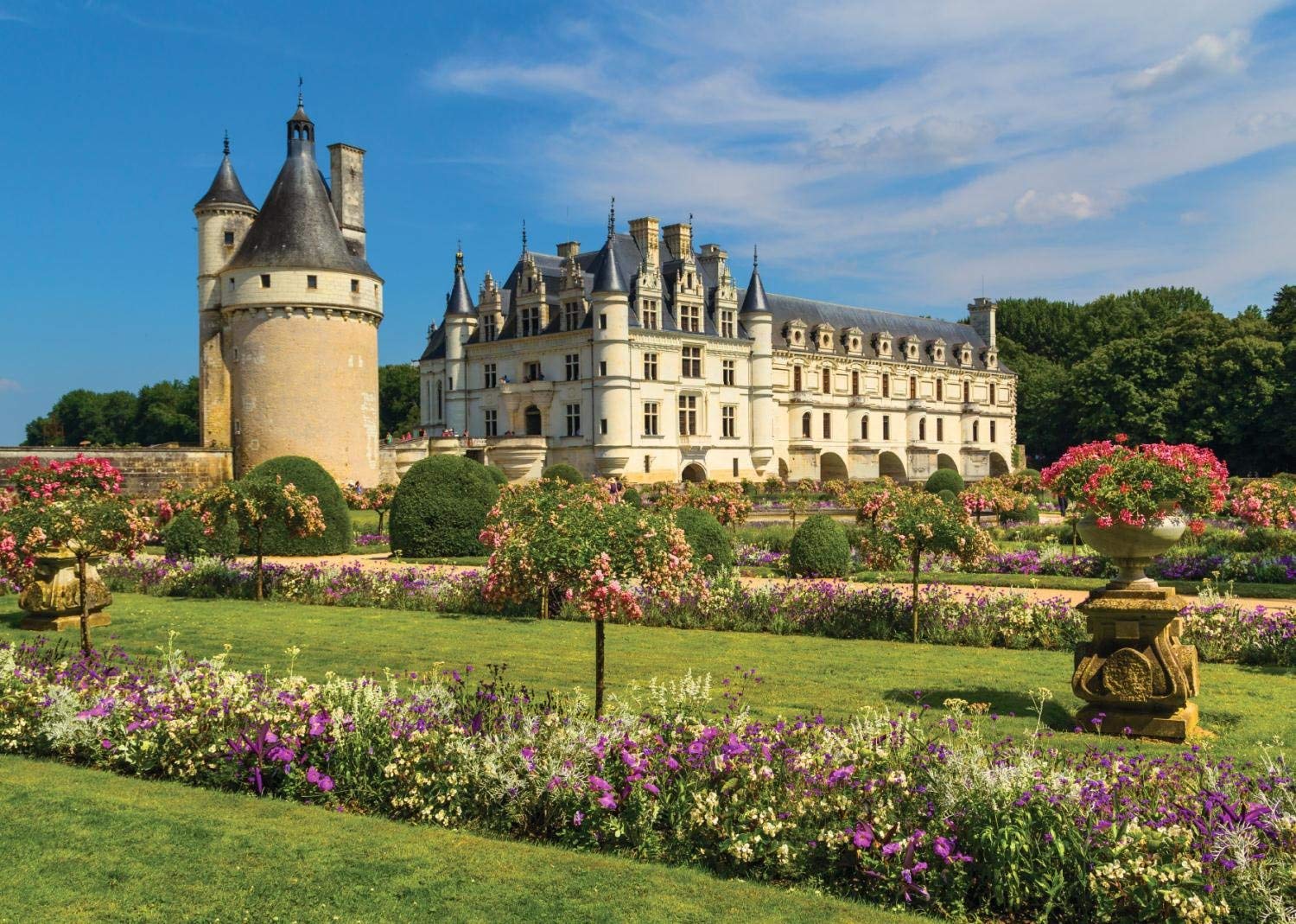 PFG Castle in the Loire (1000pcs) (Usage/Used -PUZZLES FOR GOOD)