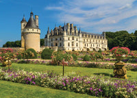 PFG Castle dans la Loire (1000pcs) (utilisation / puzzles d'occasion pour de bon)